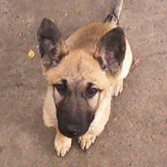 steffenkruger007@gmail.com