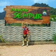 Pandi Thea