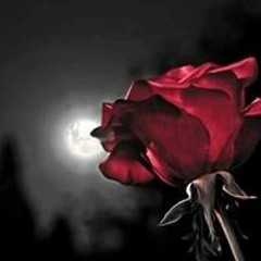 صلو على خير البرية تغنمو - يا بائعا في ارض طيبة عنبرا - فريق ذكر.mp3