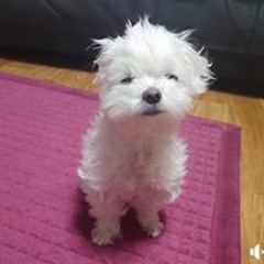 이현우