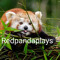 Redpandaplays007 YT