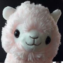 shiny llama