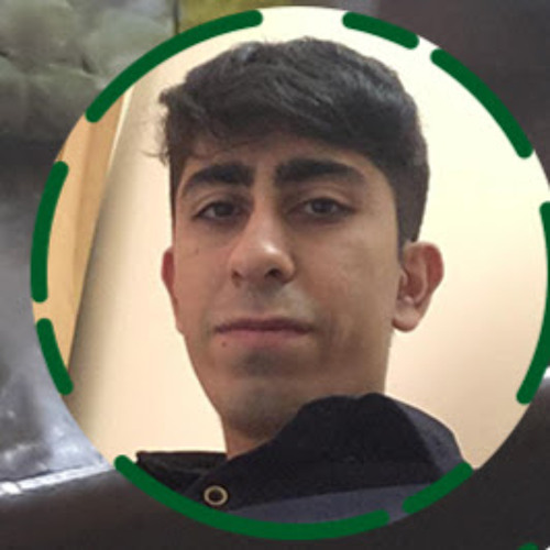 Ali Barzegari’s avatar