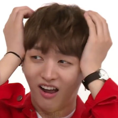 we dying here lololol