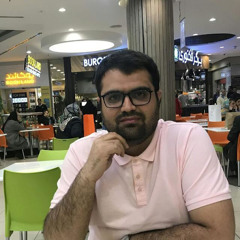 Hamidreza Piravi Vanak