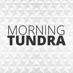 Morning Tundra