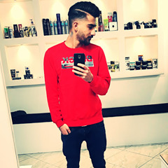 reza alinezhad