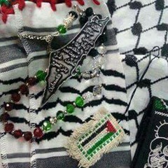 محمد ابو هدروس