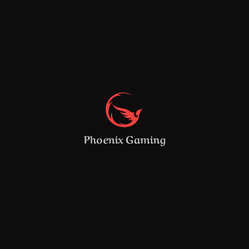 Phoenix Gaming’s avatar