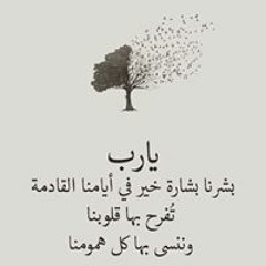 ابو بشرى المصرى