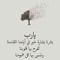 ابو بشرى المصرى