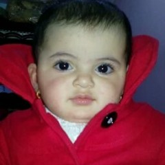 Tamer Lola