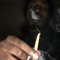 Hitter Takenover