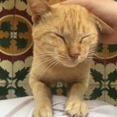 ChanChann02