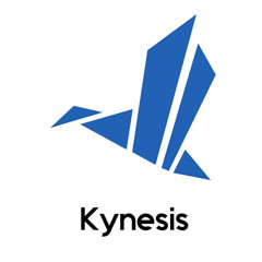 Kynesis