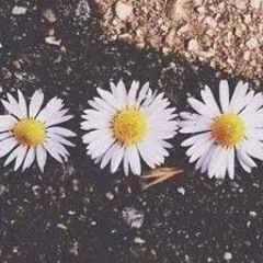Yaky Isa