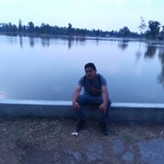 Johan