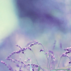 MysteryReverie