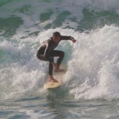 Alon Segal