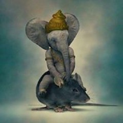 Jayesh Lathiya