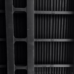 Никита Зырянов