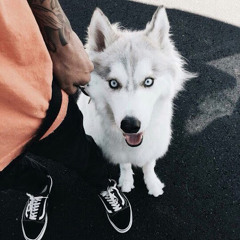 Иван Веселов