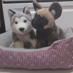 xxWolf howlersxx forvever
