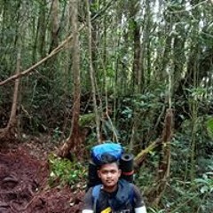 nanda