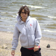 Amir R