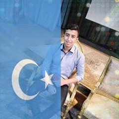 مندى بوسطيل الجملى