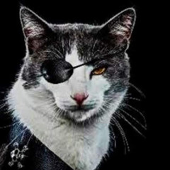 Metal Cat