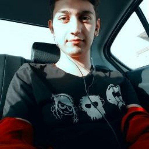 Hossein Salim’s avatar