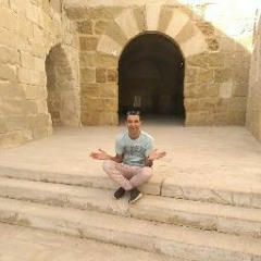 Ahmed Abo tayb
