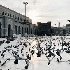محمد عبدالرحمن