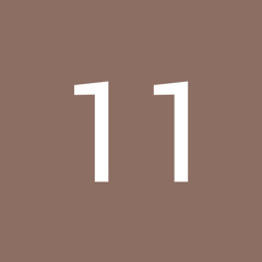11 1111