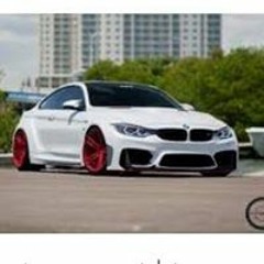 Michael Da Silva Pereira