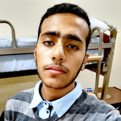 Mohamed Shalan