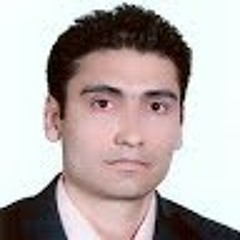 reza hasani