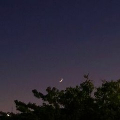 엽떡킬러
