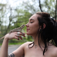 Taylor Trotta