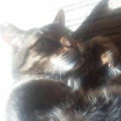 Дмитрий Хитченко