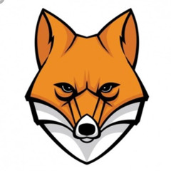 The Fox