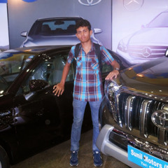 Stunt Miron