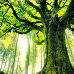 Simon Leslie-Goldstick