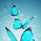AishaAhmed
