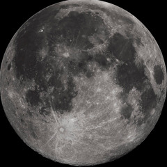 Black Chicken Empire