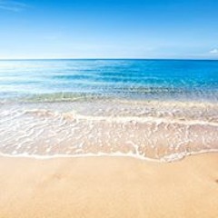 송지원