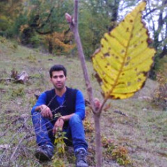 Meisam Kabiri