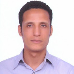 MOHAMED FAWZY