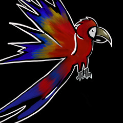 Parrot Aviators